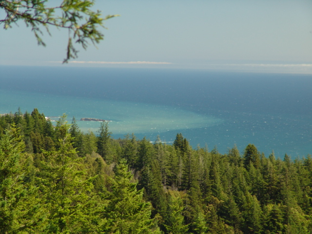 River Mouth Close Up