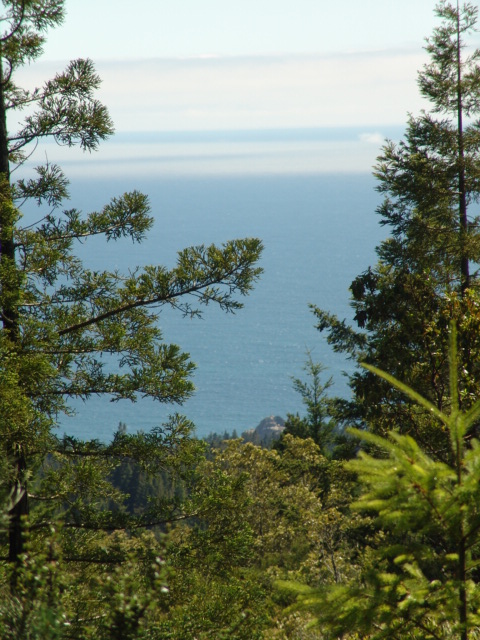 Fish Rock View